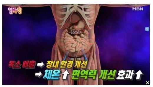 (사진=MBN 방송화면 캡처)