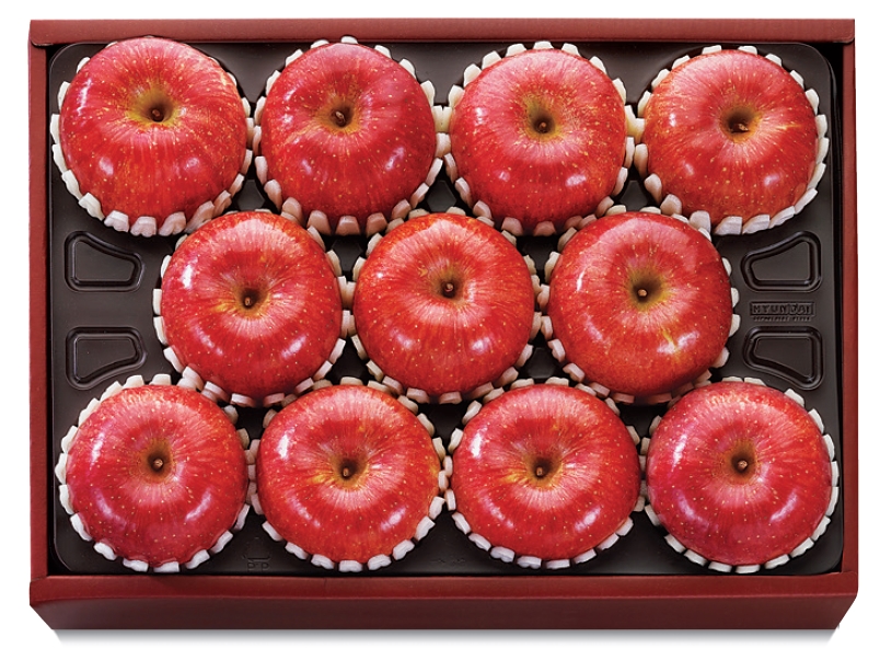 (현대백화점 제공)