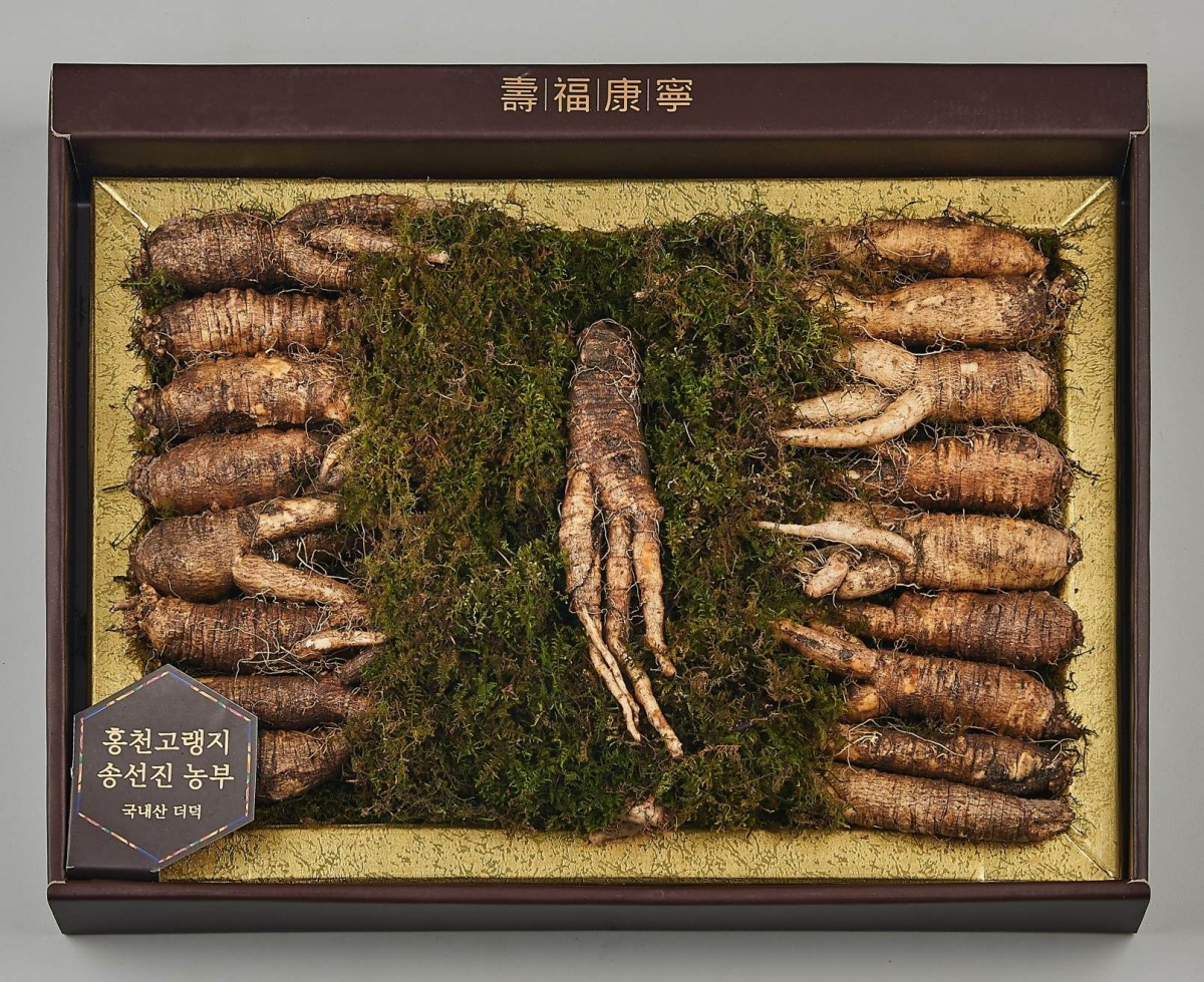 (롯데쇼핑 제공)