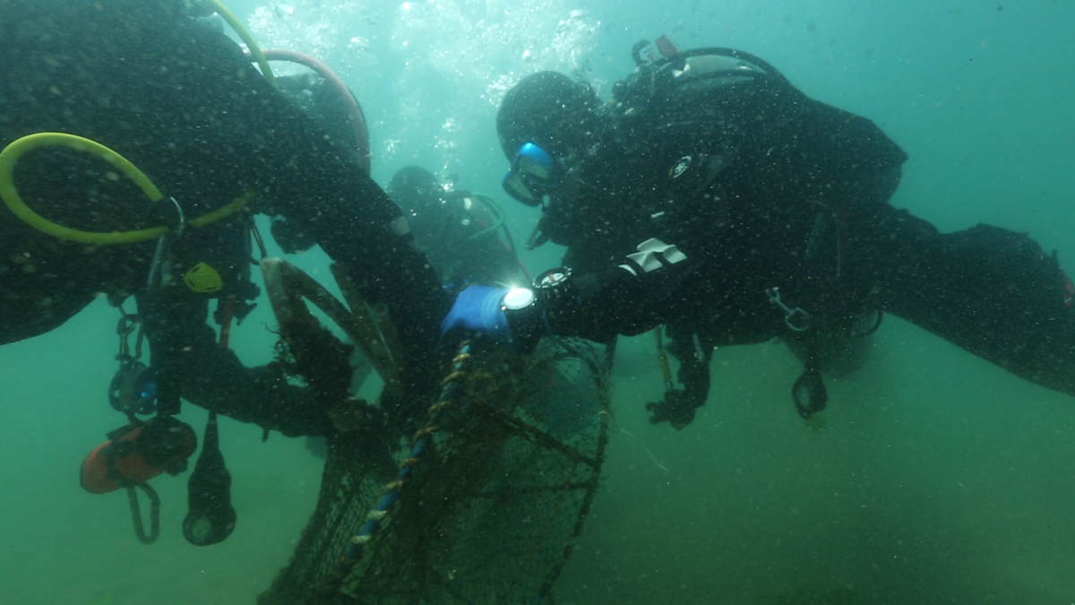 ▲포스코 클린오션봉사단이 포항 흥환리 앞바다에서 수중정화할동을 펼치고 있다. 사진제공 포스코