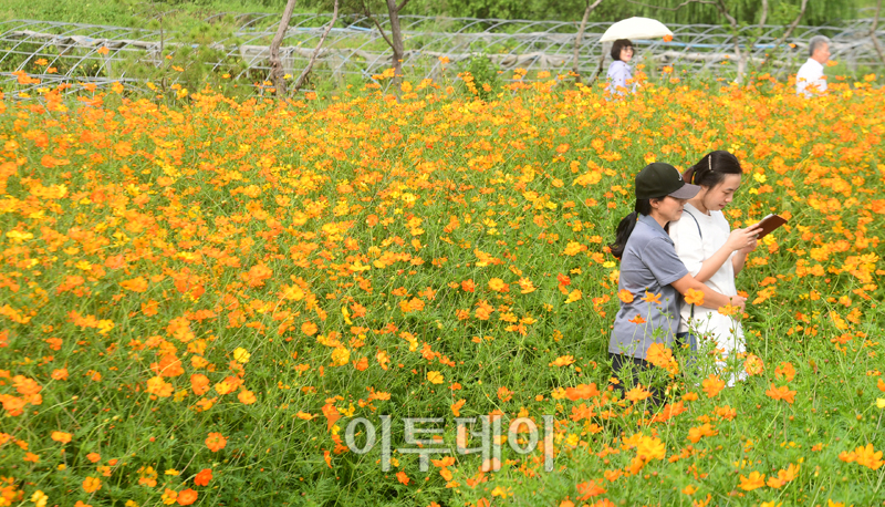 (고이란 기자 photoeran@)