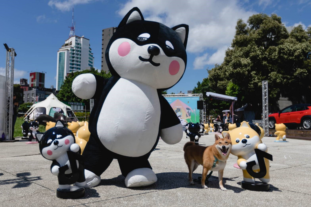 ▲대만서 ‘틱톡(TikTok)’ IMC캠페인이 진행됐다.(사진제공=FSN)