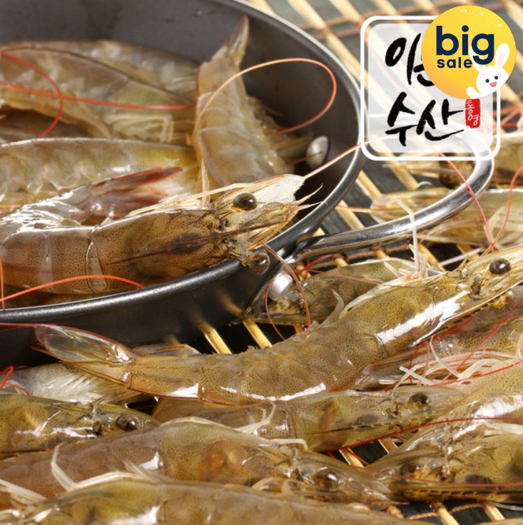 (이베이코리아 제공)