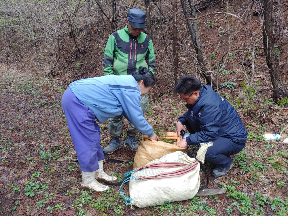 ▲산림청 직원이 임산물 불법 채취 단속을 하고 있다.(출처=산림청)