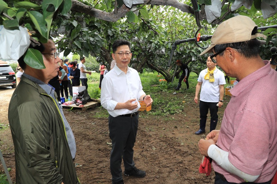▲10일 김현수(가운데) 농림축산식품부 장관이 제13호 태풍 '링링'으로 낙과 피해를 입은 충남 천안시의 배 과수원을 찾아 피해 복구를 거들었다.(출처=농림축산식품부)