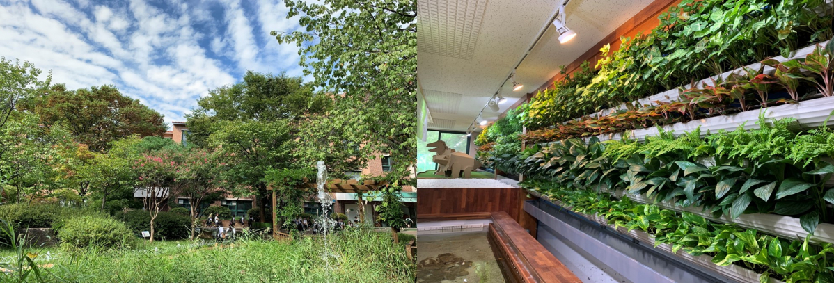 ▲우리강산 푸르게 푸르게 숲 속 학교 1호 서울 화랑초등학교 전경 및 실내모습(사진제공=유한킴벌리)