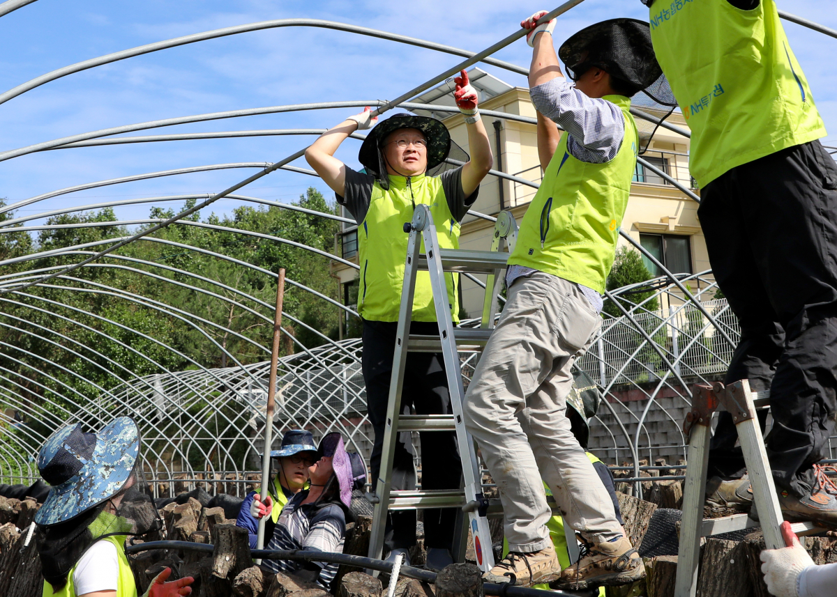 ▲NH투자증권 정영채 사장(오른쪽에서 세번째)이 17일 임직원 50명과 함께 태풍 피해를 입은 경기도 파주시 당동2리 버섯농가를 방문해 비닐하우스 재설치를 위한 뼈대 보강작업을 하고 있다.(NH투자증권)