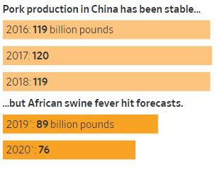 ▲중국 돼지고기 생산량. 단위 10억 파운드. 옅은 노란색:아프리카돼지열병 발병 전/진한색: 발병 후 예상치. 출처 월스트리트저널(WSJ)
