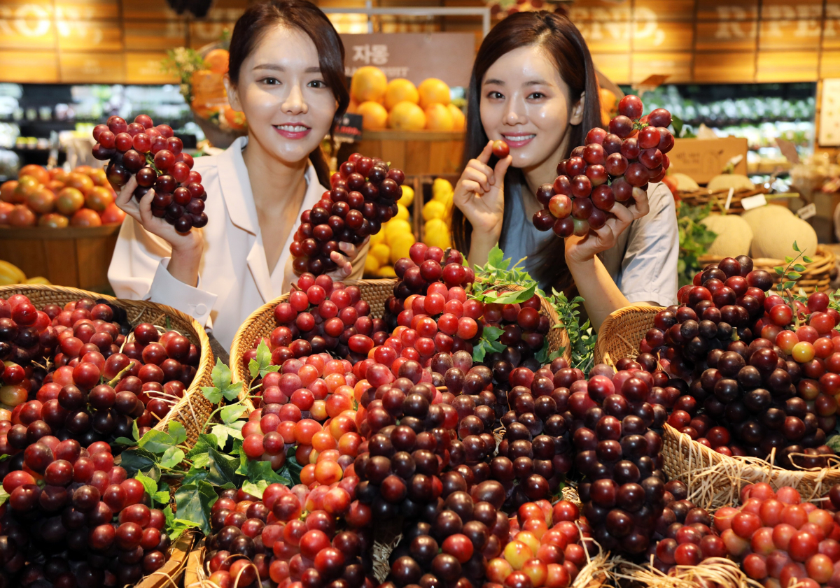 ▲25일 오전 SSG푸드마켓 청담점에서 모델들이 '홍주씨들리스' 상품을 소개하고 있다. (사진제공=PK마켓)