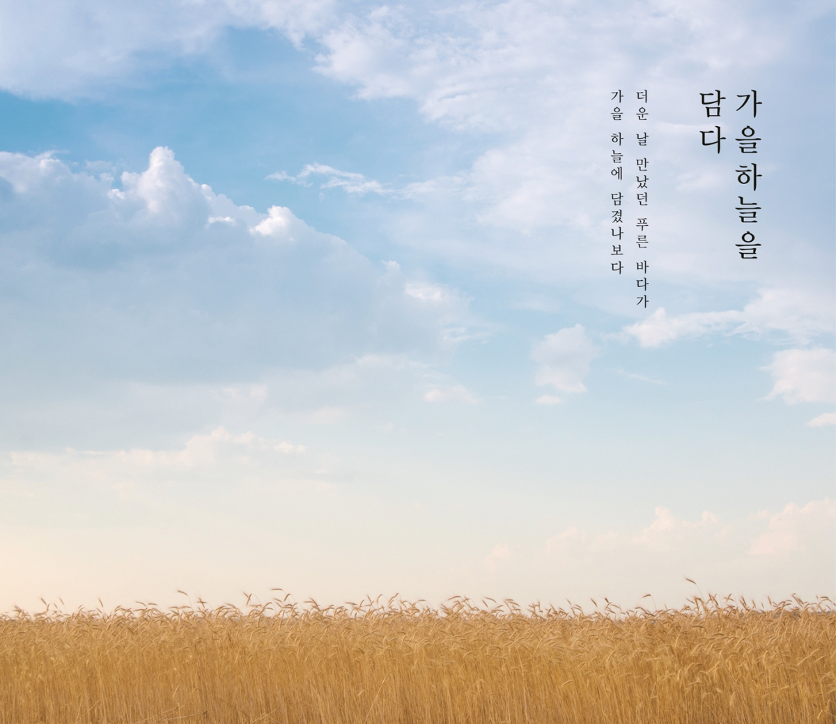 (AK플라자 제공)