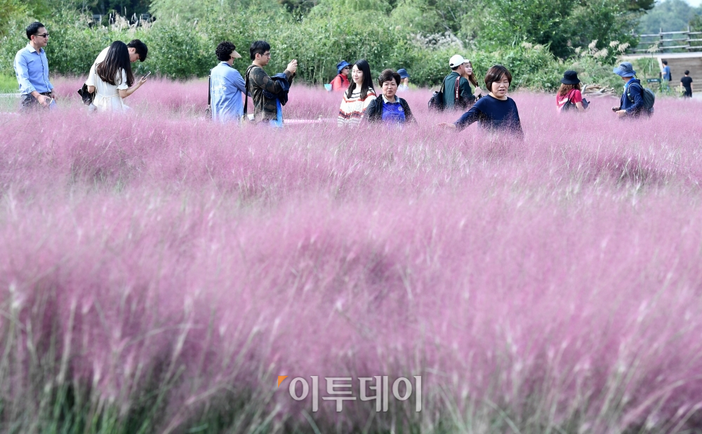 (신태현 기자 holjjak@)