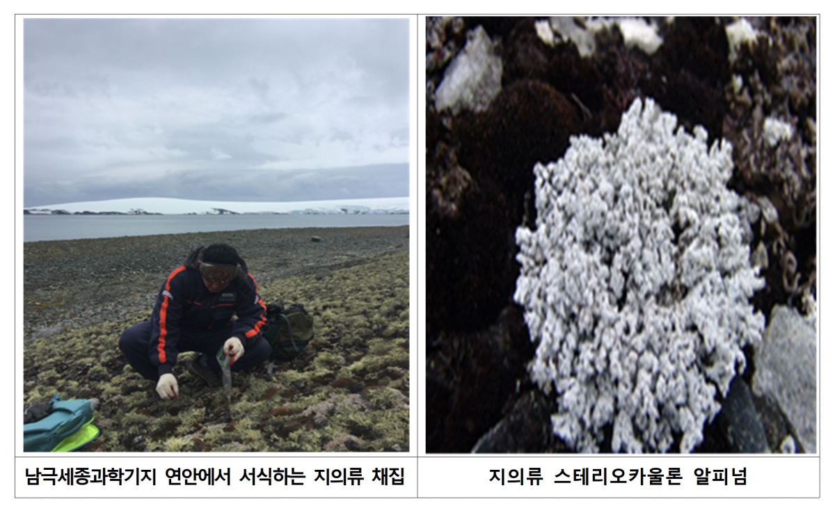 (사진제공=극지연구소)