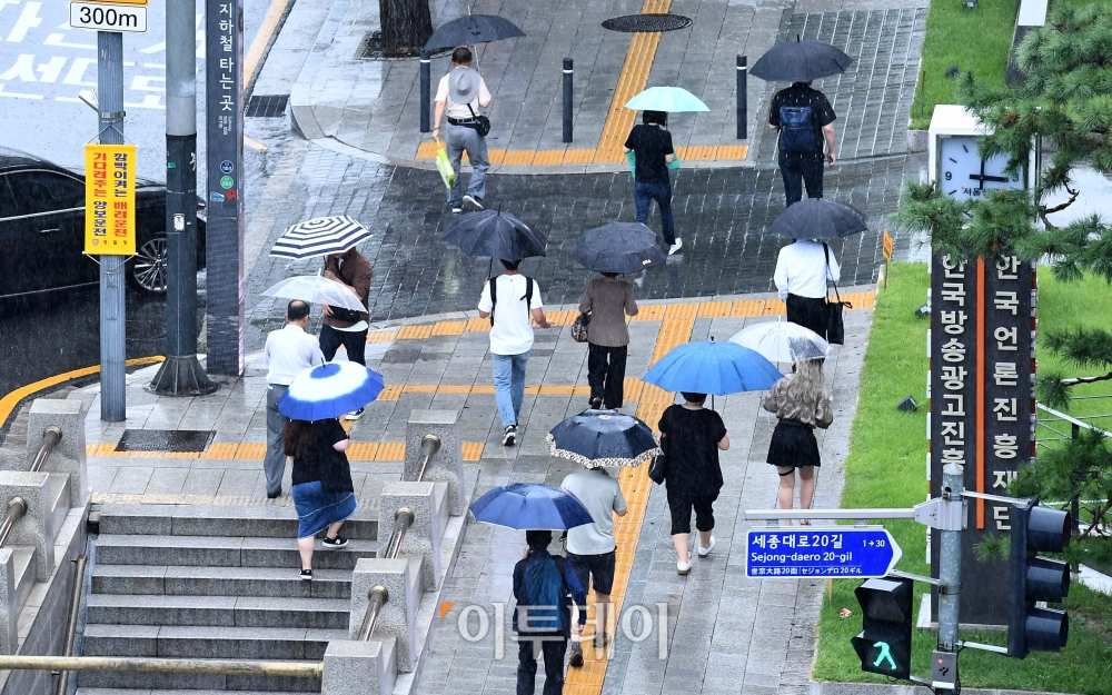 (신태현 기자 holjjak@)