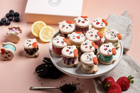 (코글플래닛 제공)