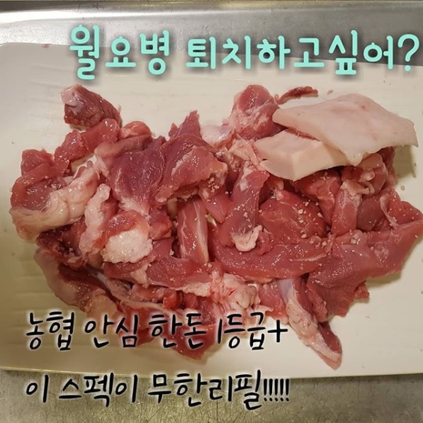 (출처=초지일관 인스타그램)