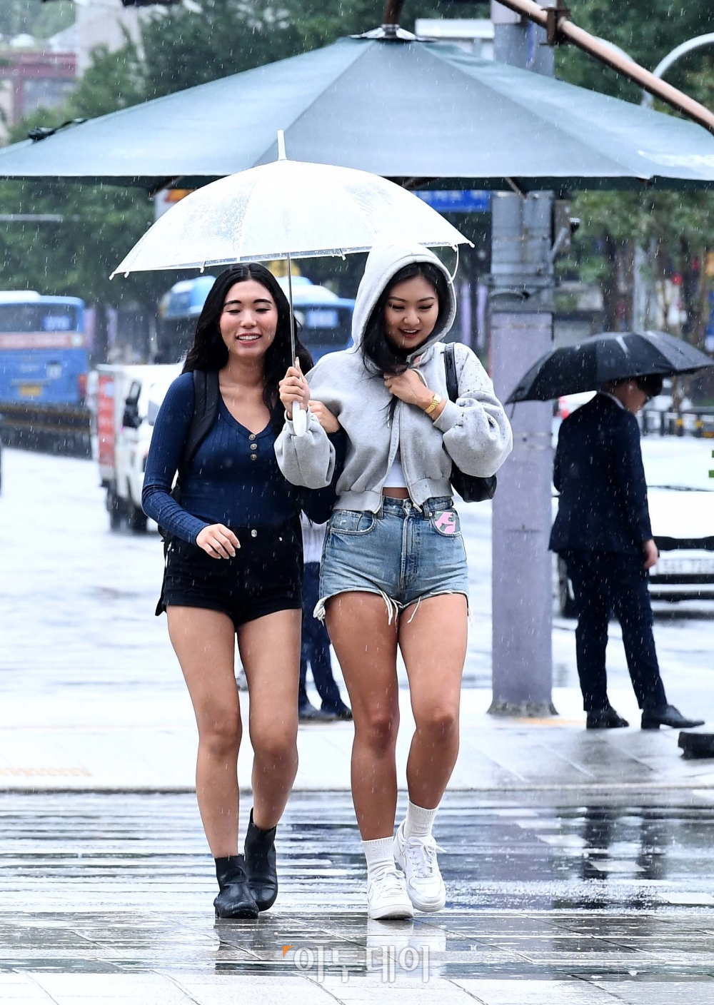 (신태현 기자 holjjak@)