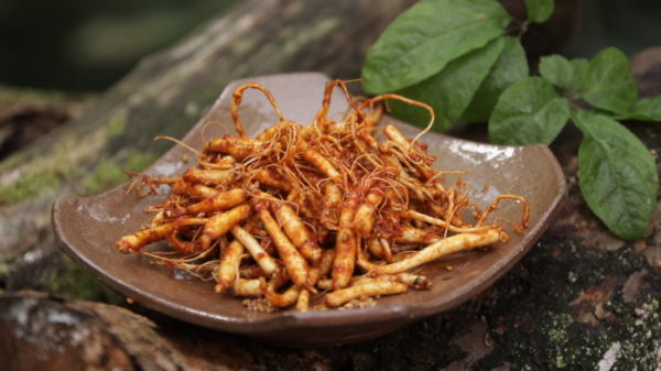 ▲한국인의 밥상(사진제공=KBS1)