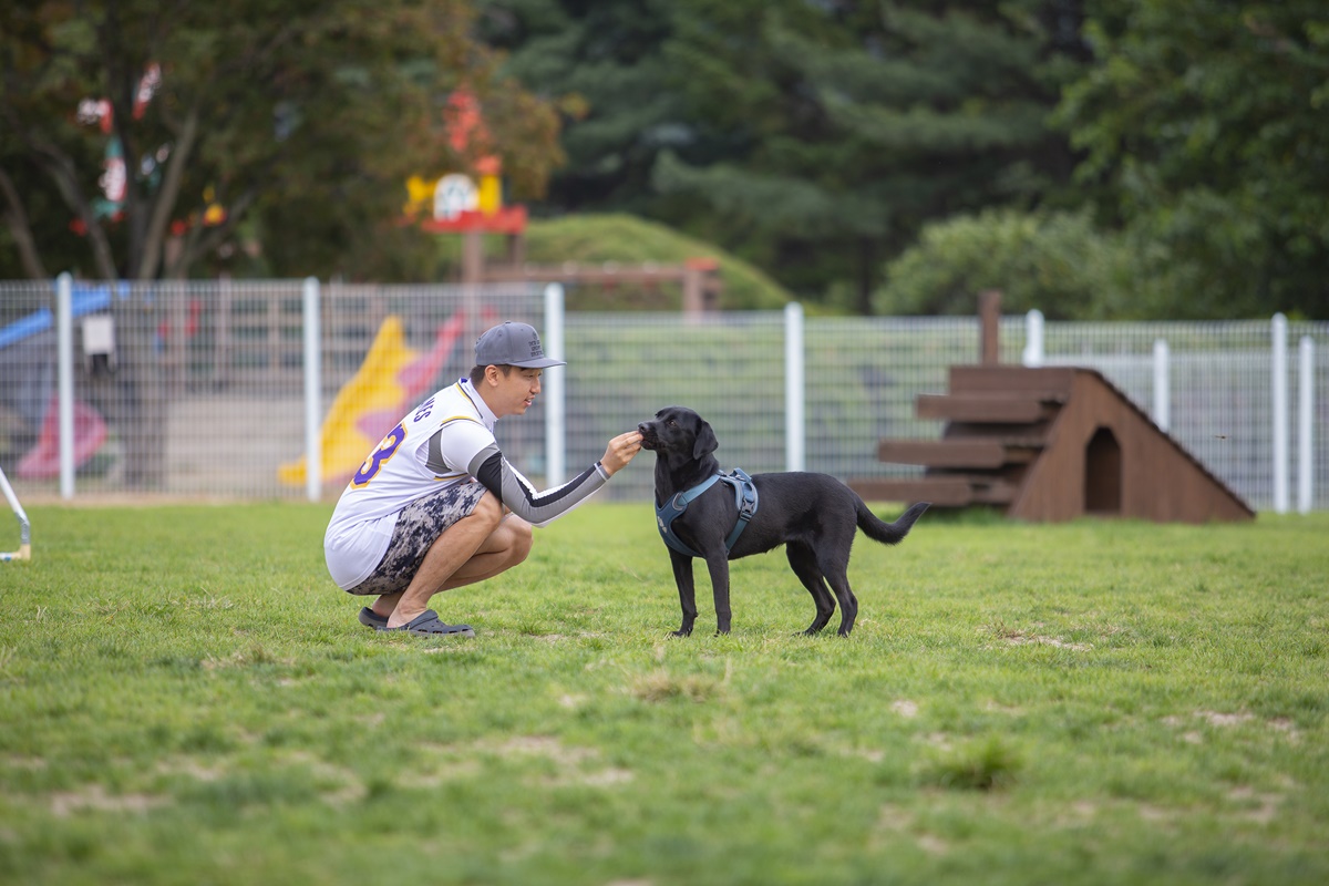 ▲반려견과 함께 보내는 휴일.