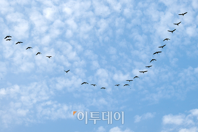 (고이란 기자 photoeran@)