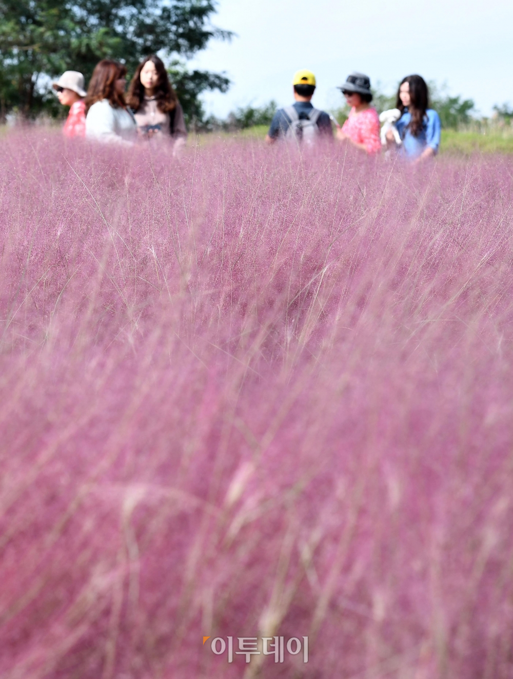 (신태현 기자 holjjak@)