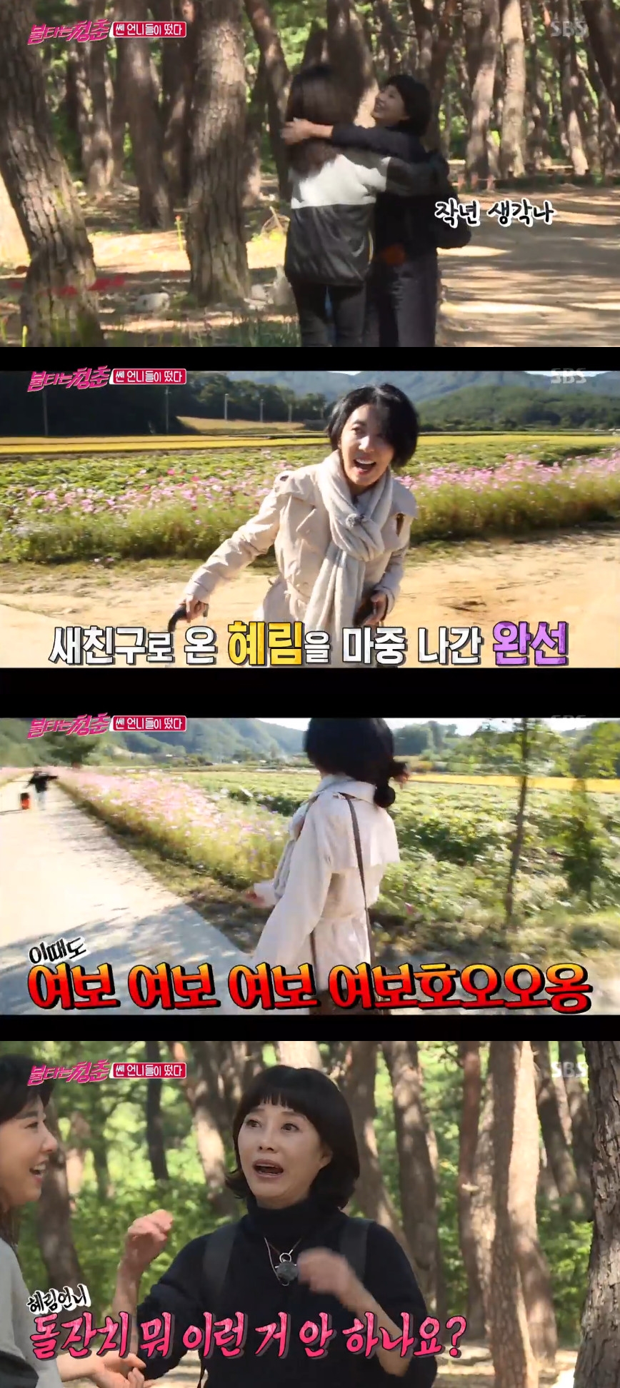 (출처=SBS '불타는 청춘' 방송캡처)