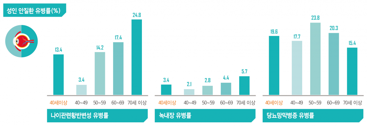 (대한안과학회)