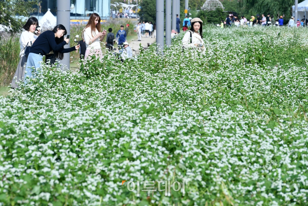 (신태현 기자 holjjak@)