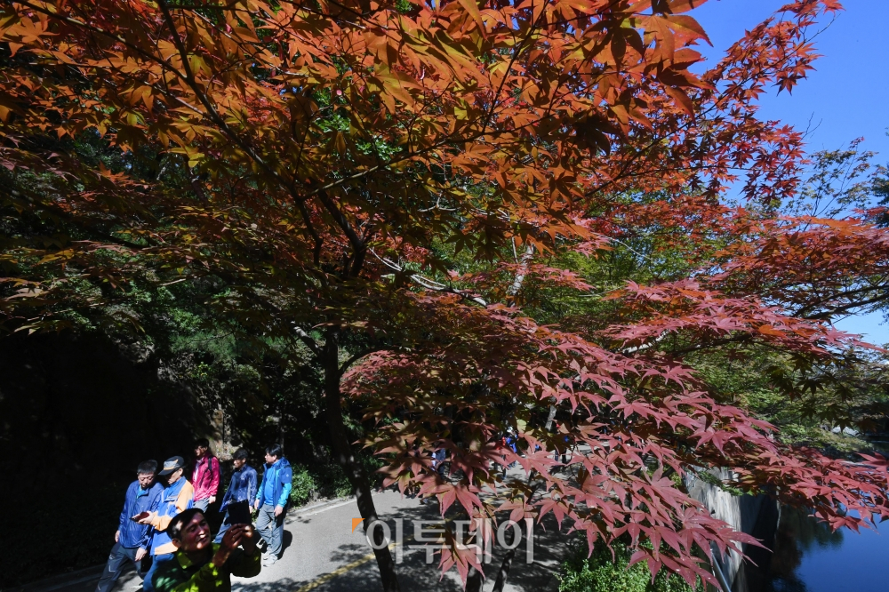 (신태현 기자 holjjak@)