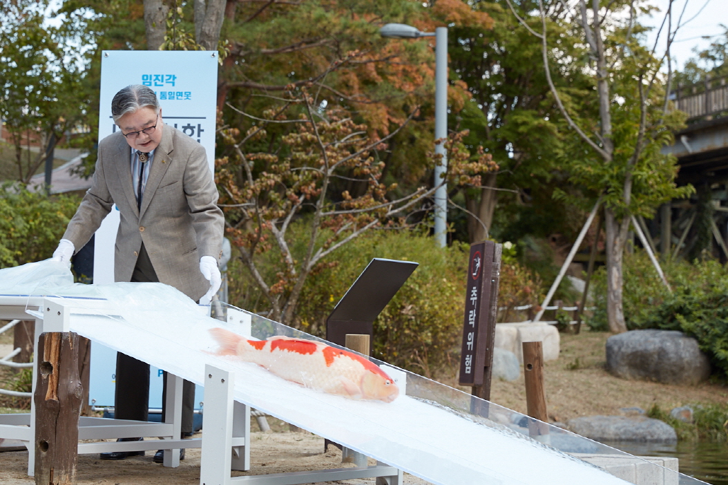 ▲안유수 에이스침대 회장이 15일 경기도 파주시 임진각 통일연못에서 비단잉어를 방사하고 있다.(사진제공=에이스침대)