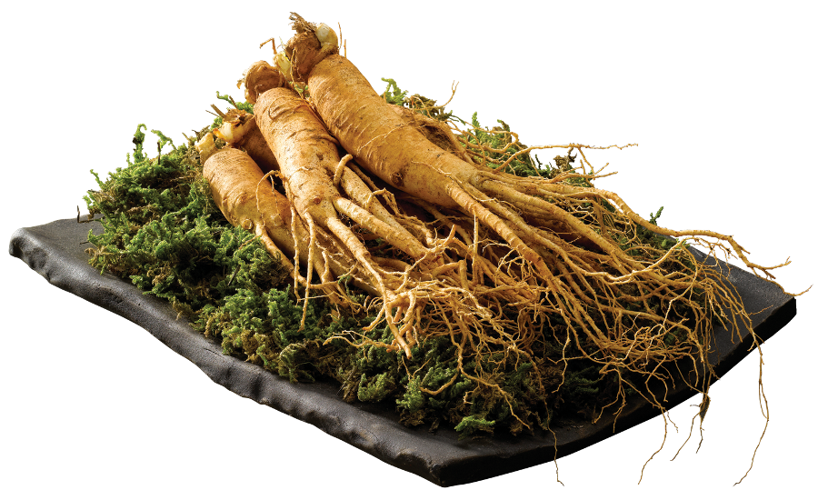 (사진제공=이마트)