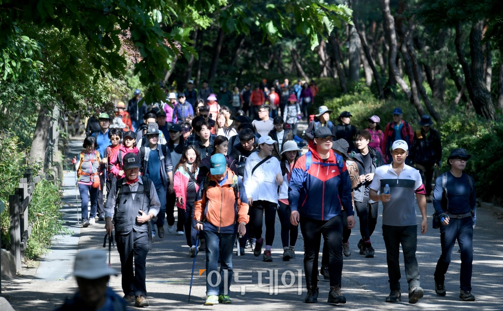 (신태현 기자 holjjak@)