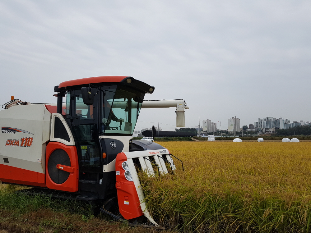 ▲한 농촌에서 콤바인으로 벼를 수확하고 있다. (사진제공=농협중앙회)