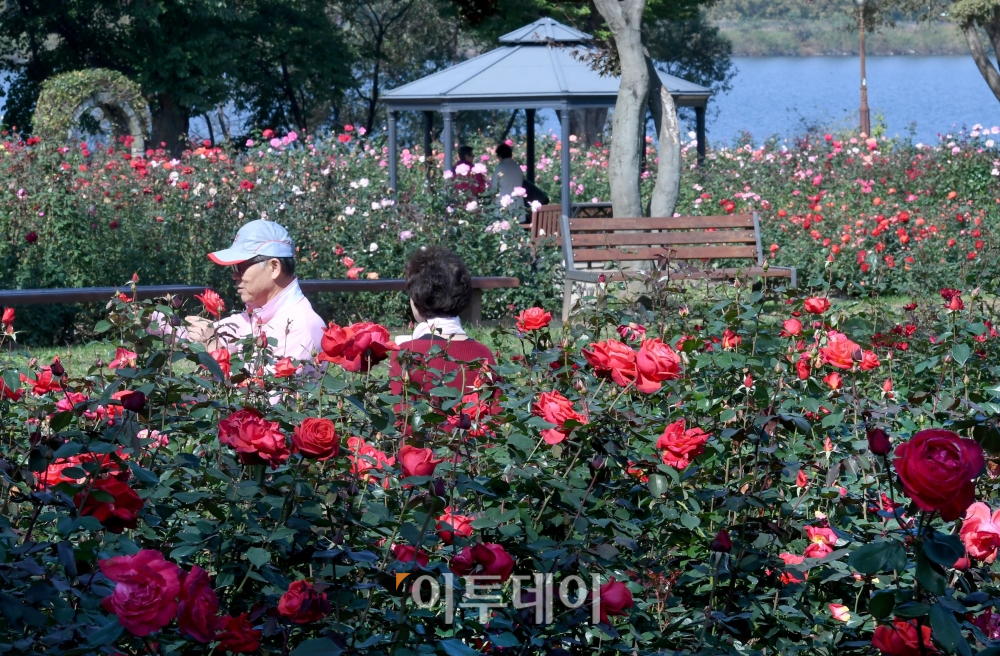 (신태현 기자 holjjak@)