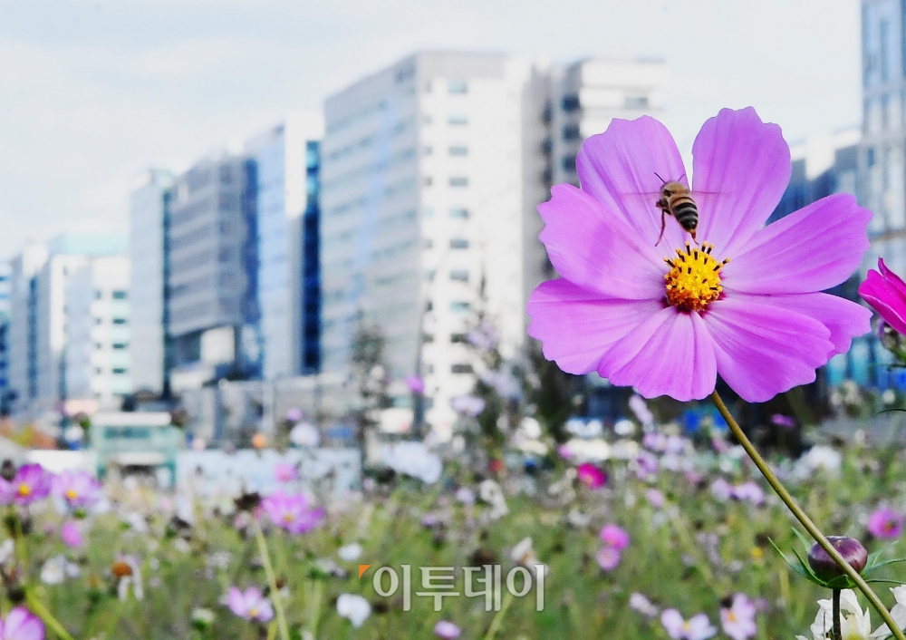 (신태현 기자 holjjak@)