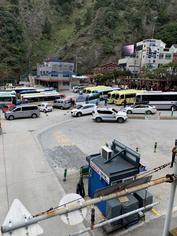 ▲23일 울릉도 도동항에 관광객을 태우려는 관광버스, 렌터카 등으로 혼잡한 모습을 보이고 있다. (곽도흔기자@sogood)