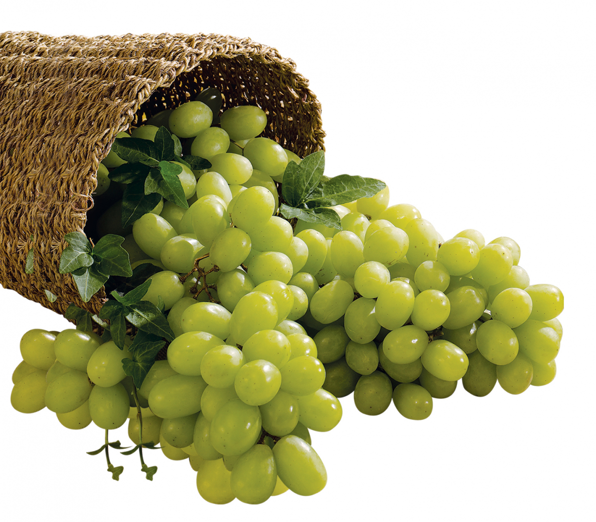 (사진제공=이마트)