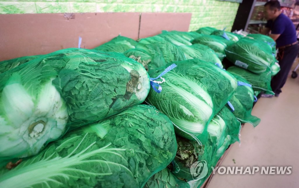▲지난 27일 서울 시내 한 대형마트에 진열된 배추. (연합뉴스)