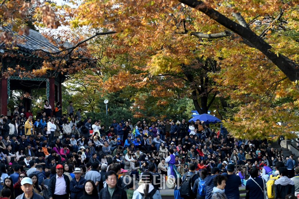 (신태현 기자 holjjak@)