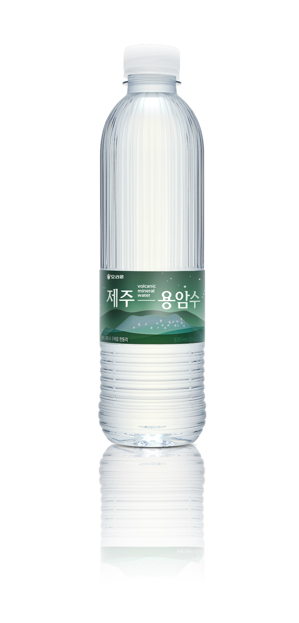 (사진제공=오리온)