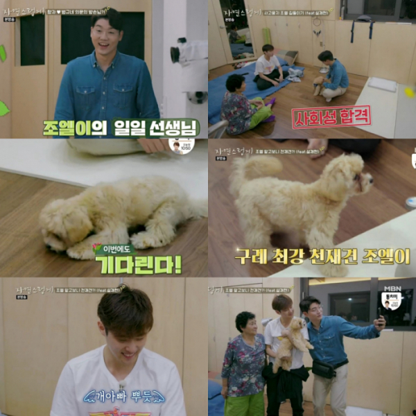 ▲'자연스럽게' 천재견 조엘이(MBN)