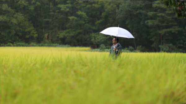 ▲'김영철의 동네 한 바퀴' 창동과 도봉동(사진제공=KBS1)