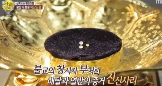 (출처=MBC '선을 넘는 녀석들')