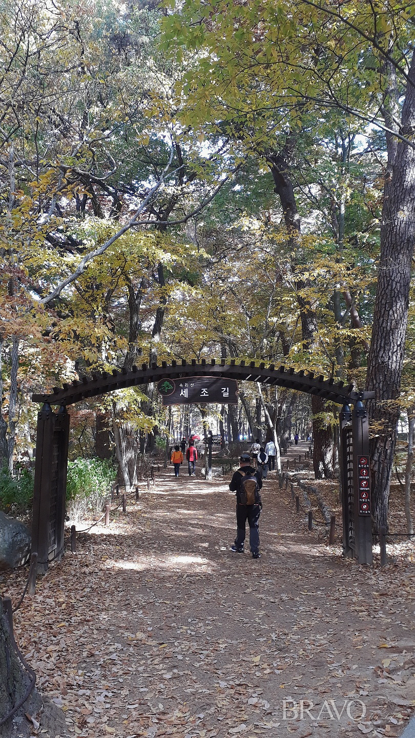▲세조길이 시작되는 지점(허계숙 동년기자)