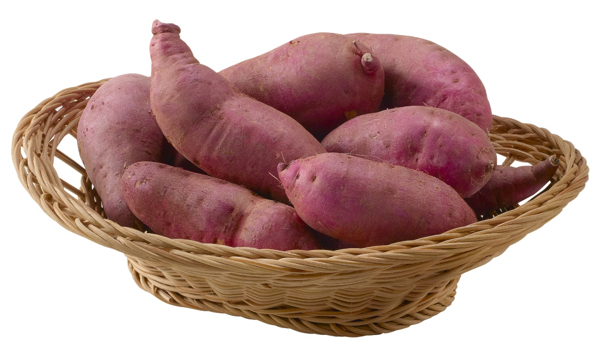 (사진제공=이마트)