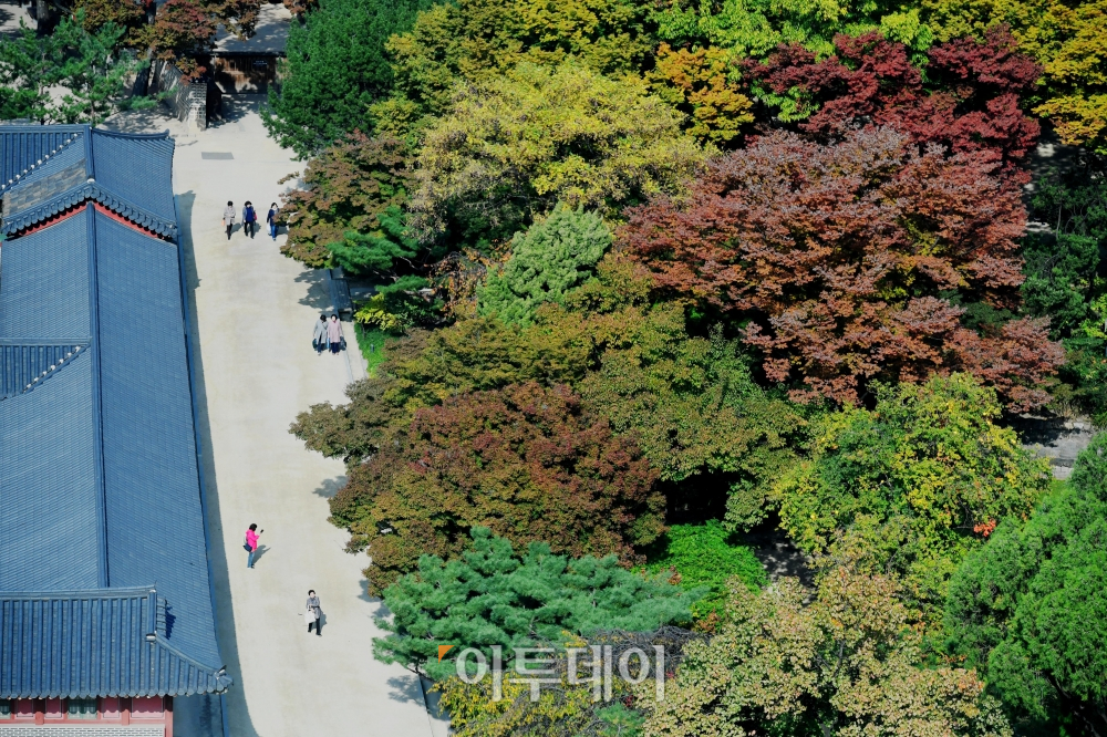 ▲신태현 기자 holjjak@ (이투데이DB)