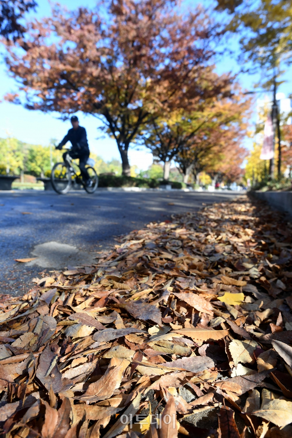 (신태현 기자 holjjak@)