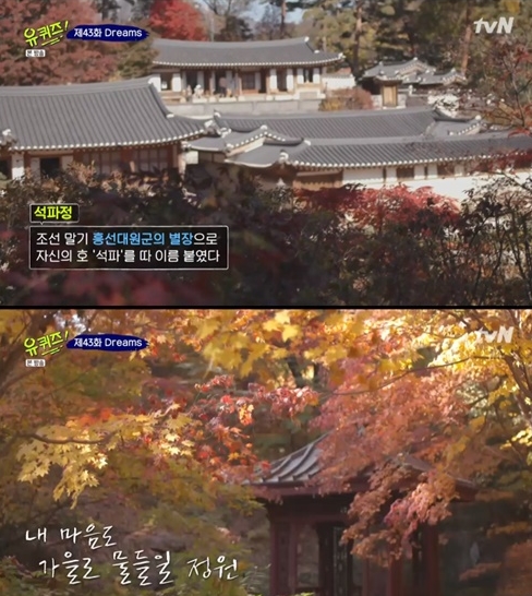 ((출처=tvN 방송화면 캡처))