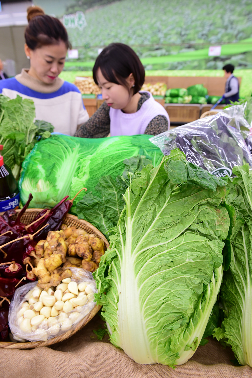 (사진제공=농협유통)