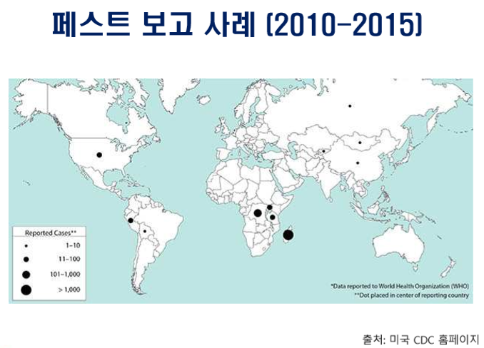 (자료=질병관리본부)