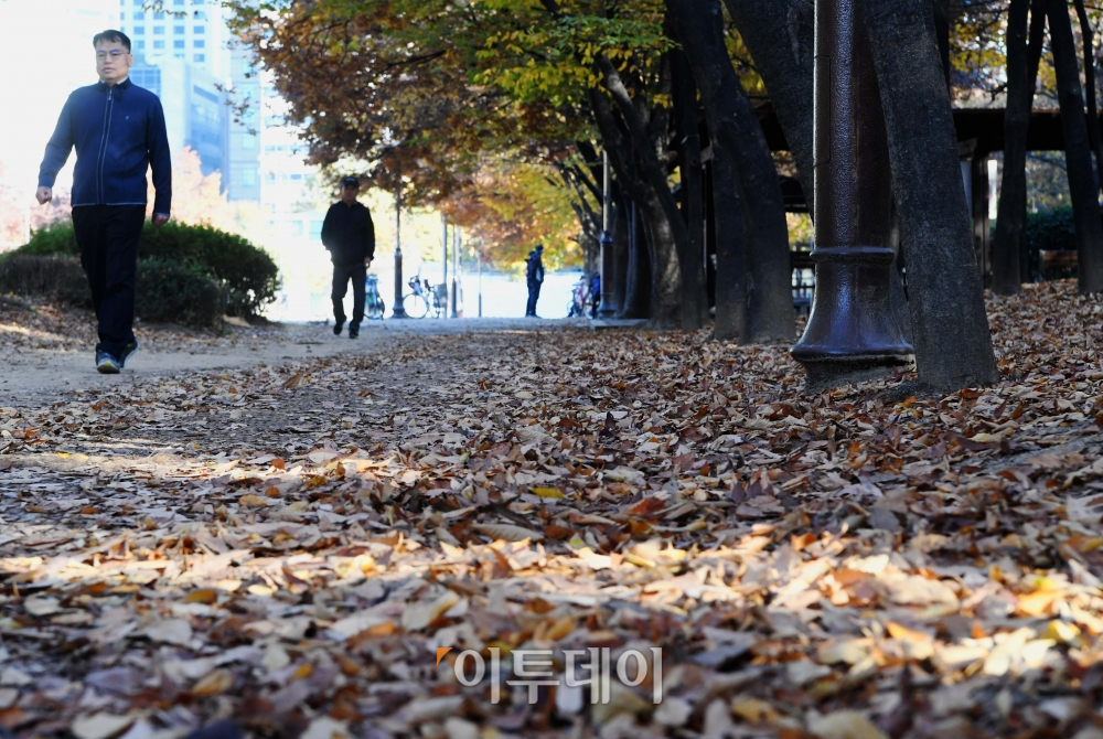 (신태현 기자 holjjak@)